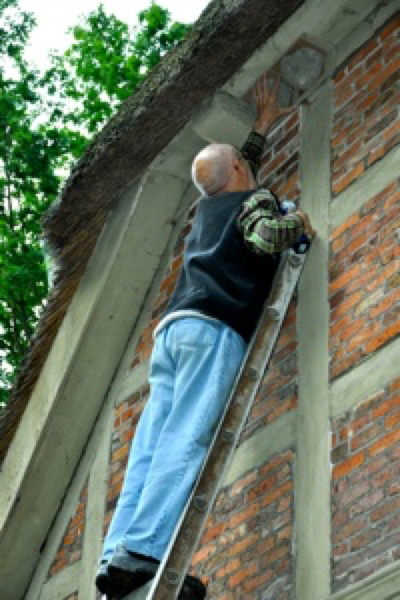 Du betrachtest gerade Eine Schwalbe macht noch keinen Sommer…