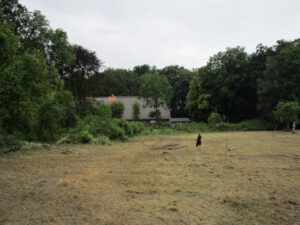 Mehr über den Artikel erfahren Kulturgarten startet