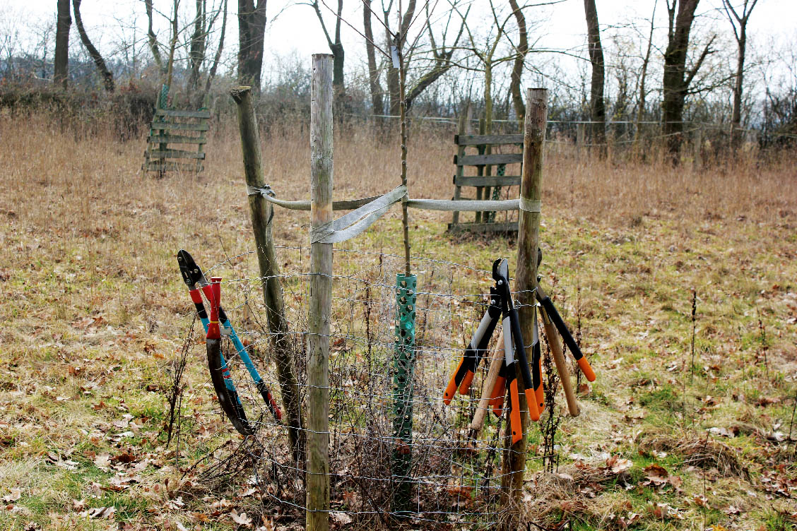 You are currently viewing Obstbaumpflege im Kulturgarten und vieles mehr …