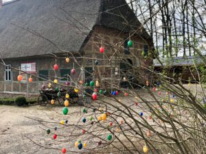 Mehr über den Artikel erfahren … unter dem Rosenbogen hindurch …