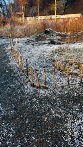 Mehr über den Artikel erfahren Coronakonform: Abstand und Hygiene in Garten und Hof