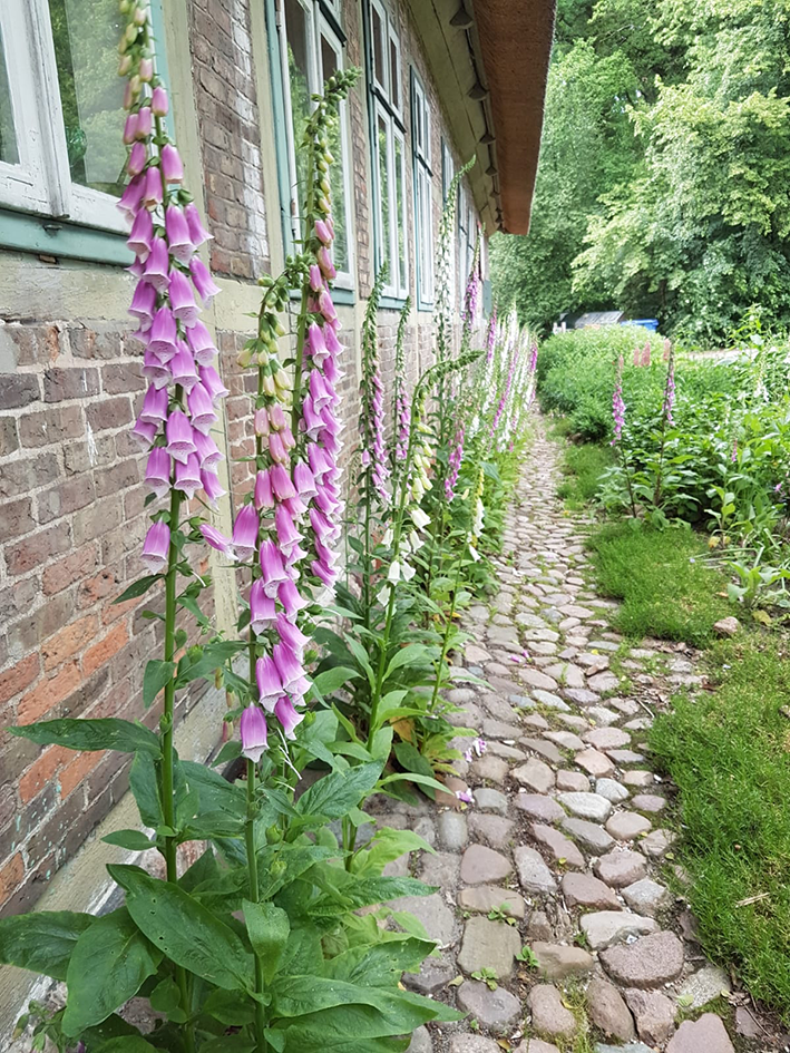 Mehr über den Artikel erfahren Die Kindergartengruppen können wieder durch den Garten toben.
