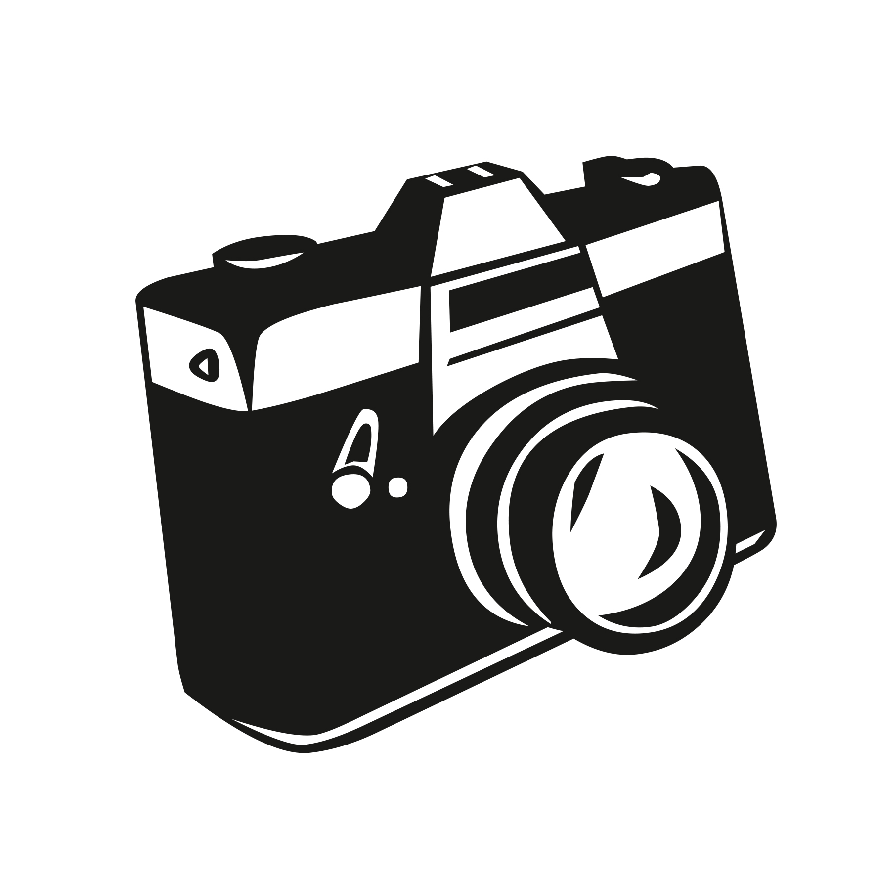 Du betrachtest gerade Die Hochzeitsfotos