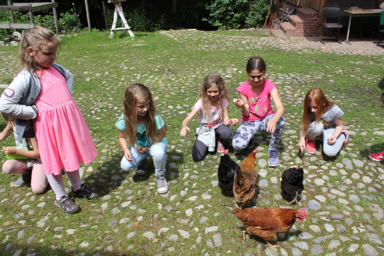 Du betrachtest gerade Unsere Tiere