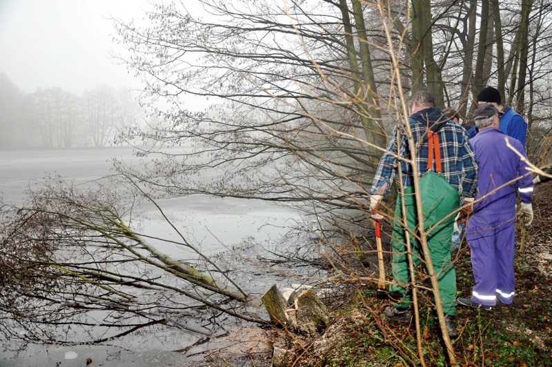 You are currently viewing Viele „Baustellen“