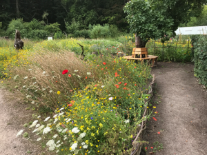 Read more about the article Ein Balkenmäher für Doras Garten