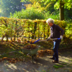Sonne und Laub strahlen um die Wette