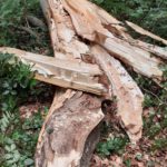 Viel Brennholz