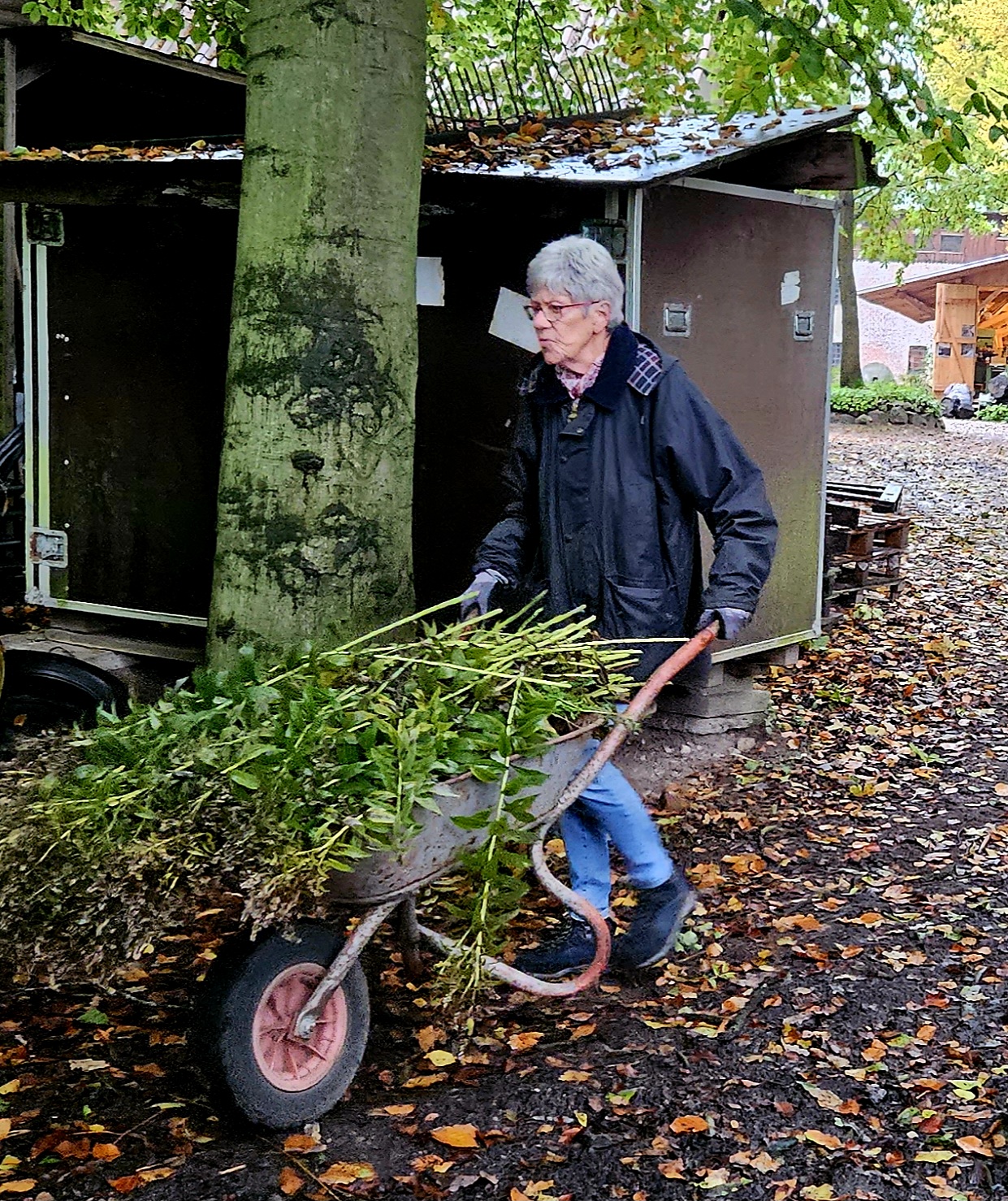Du betrachtest gerade Mühlenputz ohne Ruhetag