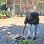 Von Garten, Blumen, Gießen, pflegen, und, und, und …