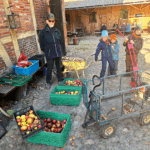 Die Kartoffeln und Äpfel sind eingelagert.