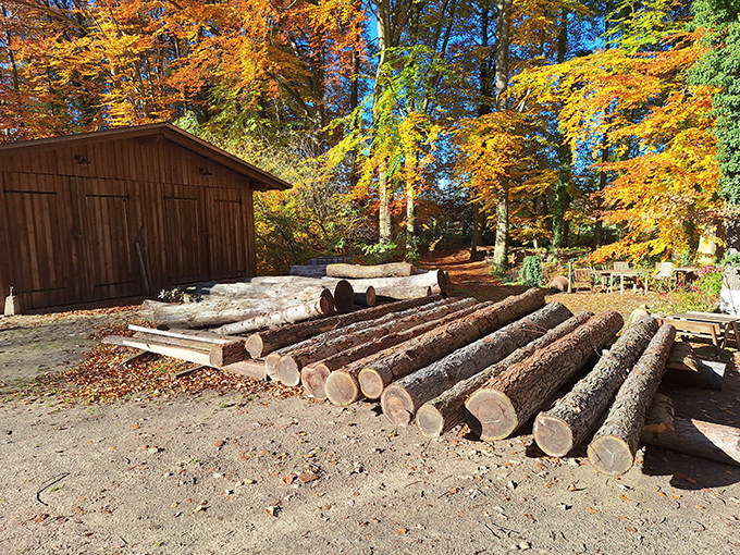 Du betrachtest gerade Nach dem Mühlenputz ist vor dem Mühlenputz