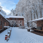 Zeit für Mühlenputz und – Grünkohl!