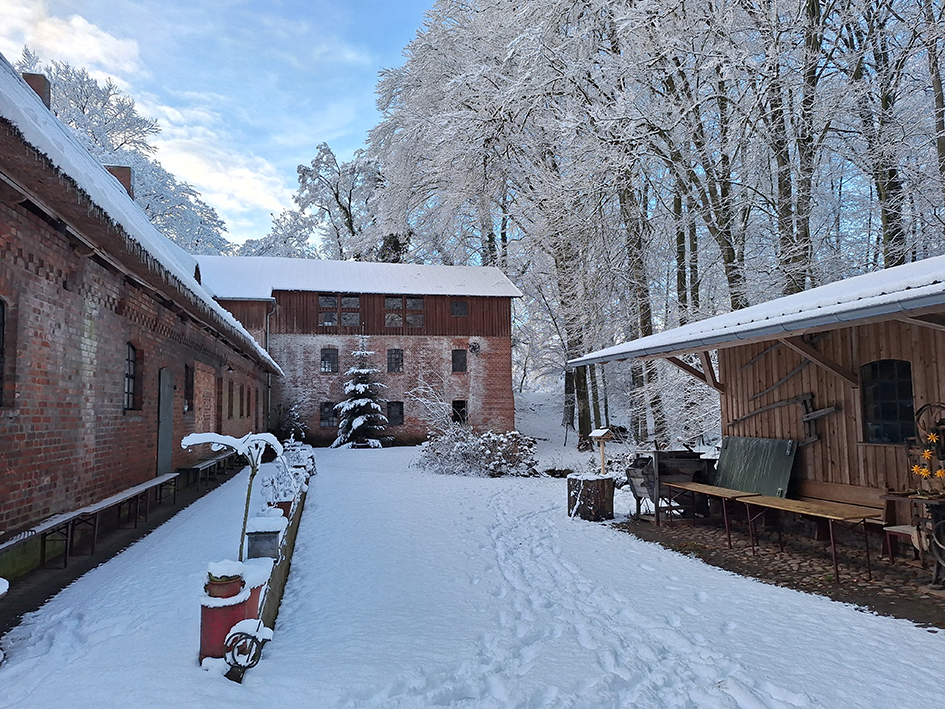 Du betrachtest gerade Zeit für Mühlenputz und – Grünkohl!