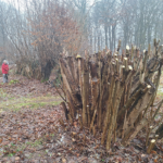 Wir planen schon für die Zeit nach dem Schnee :-)