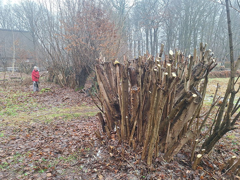 Du betrachtest gerade Wir planen schon für die Zeit nach dem Schnee :-)