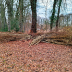 Der Februar verabschiedet sich