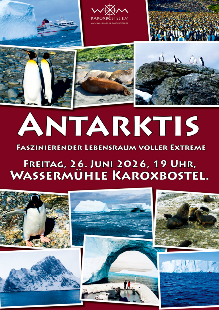 _2026-Plakat-Arktis